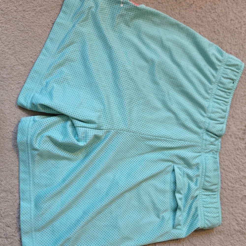 Air Jordan Dry-fit Teal Mesh Shorts with 90's Retro Logo - Picture 5 of 5